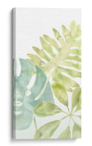 Colección Songbird B - June Erica Vess | Cuadro decorativo de Canvas Lab