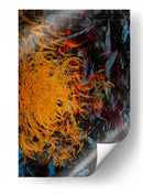 Bruja - Strega - Carlos Pixley | Cuadro decorativo de Canvas Lab