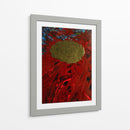 La fuga del sol - Carlos Pixley | Cuadro decorativo de Canvas Lab