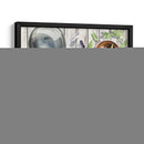 Colección De La Bruja Verde A - Jennifer Paxton Parker | Cuadro decorativo de Canvas Lab