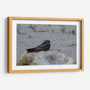 Ave descansando - Arturo Sánchez | Cuadro decorativo de Canvas Lab