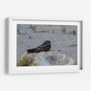 Ave descansando - Arturo Sánchez | Cuadro decorativo de Canvas Lab