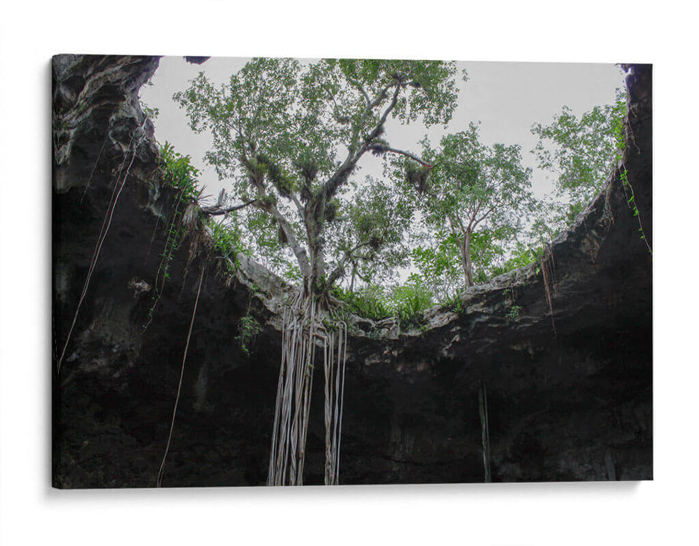 El Cenote - Arturo Sánchez | Cuadro decorativo de Canvas Lab