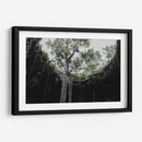 El Cenote - Arturo Sánchez | Cuadro decorativo de Canvas Lab