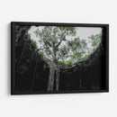 El Cenote - Arturo Sánchez | Cuadro decorativo de Canvas Lab