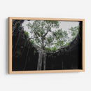 El Cenote - Arturo Sánchez | Cuadro decorativo de Canvas Lab