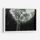 El Cenote - Arturo Sánchez | Cuadro decorativo de Canvas Lab