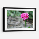 Flor I - Arturo Sánchez | Cuadro decorativo de Canvas Lab