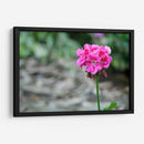 Flor I - Arturo Sánchez | Cuadro decorativo de Canvas Lab