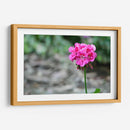 Flor I - Arturo Sánchez | Cuadro decorativo de Canvas Lab