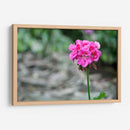 Flor I - Arturo Sánchez | Cuadro decorativo de Canvas Lab