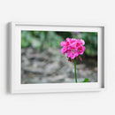 Flor I - Arturo Sánchez | Cuadro decorativo de Canvas Lab