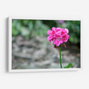 Flor I - Arturo Sánchez | Cuadro decorativo de Canvas Lab