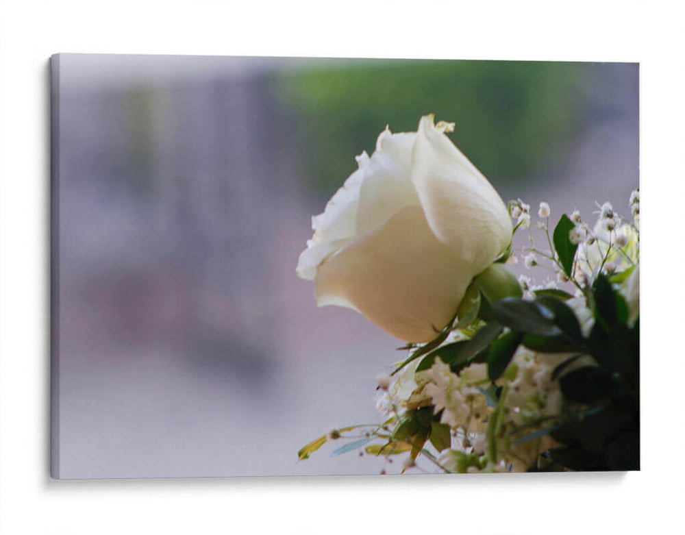 Flor II - Arturo Sánchez | Cuadro decorativo de Canvas Lab