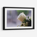 Flor II - Arturo Sánchez | Cuadro decorativo de Canvas Lab