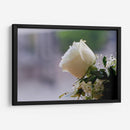 Flor II - Arturo Sánchez | Cuadro decorativo de Canvas Lab