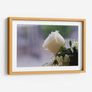 Flor II - Arturo Sánchez | Cuadro decorativo de Canvas Lab