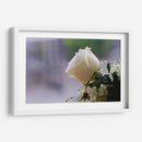 Flor II - Arturo Sánchez | Cuadro decorativo de Canvas Lab