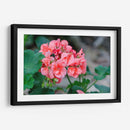 Flor III - Arturo Sánchez | Cuadro decorativo de Canvas Lab