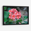 Flor III - Arturo Sánchez | Cuadro decorativo de Canvas Lab