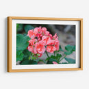 Flor III - Arturo Sánchez | Cuadro decorativo de Canvas Lab