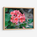 Flor III - Arturo Sánchez | Cuadro decorativo de Canvas Lab