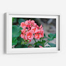 Flor III - Arturo Sánchez | Cuadro decorativo de Canvas Lab