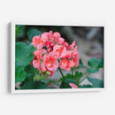 Flor III - Arturo Sánchez | Cuadro decorativo de Canvas Lab