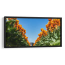 Tulipanes anaranjados | Cuadro decorativo de Canvas Lab