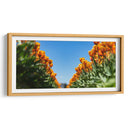 Tulipanes anaranjados | Cuadro decorativo de Canvas Lab