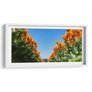 Tulipanes anaranjados | Cuadro decorativo de Canvas Lab