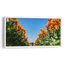 Tulipanes anaranjados | Cuadro decorativo de Canvas Lab