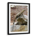 Iguana - Arturo Sánchez | Cuadro decorativo de Canvas Lab