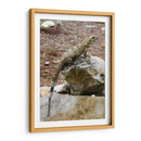 Iguana - Arturo Sánchez | Cuadro decorativo de Canvas Lab