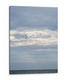 Parvada - Arturo Sánchez | Cuadro decorativo de Canvas Lab