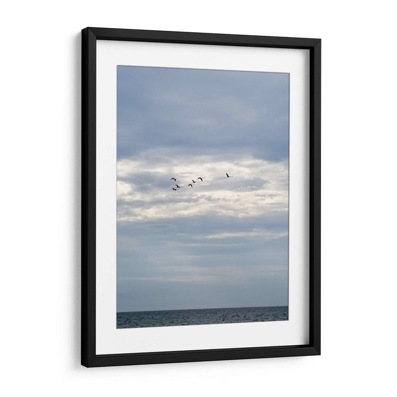 Parvada - Arturo Sánchez | Cuadro decorativo de Canvas Lab