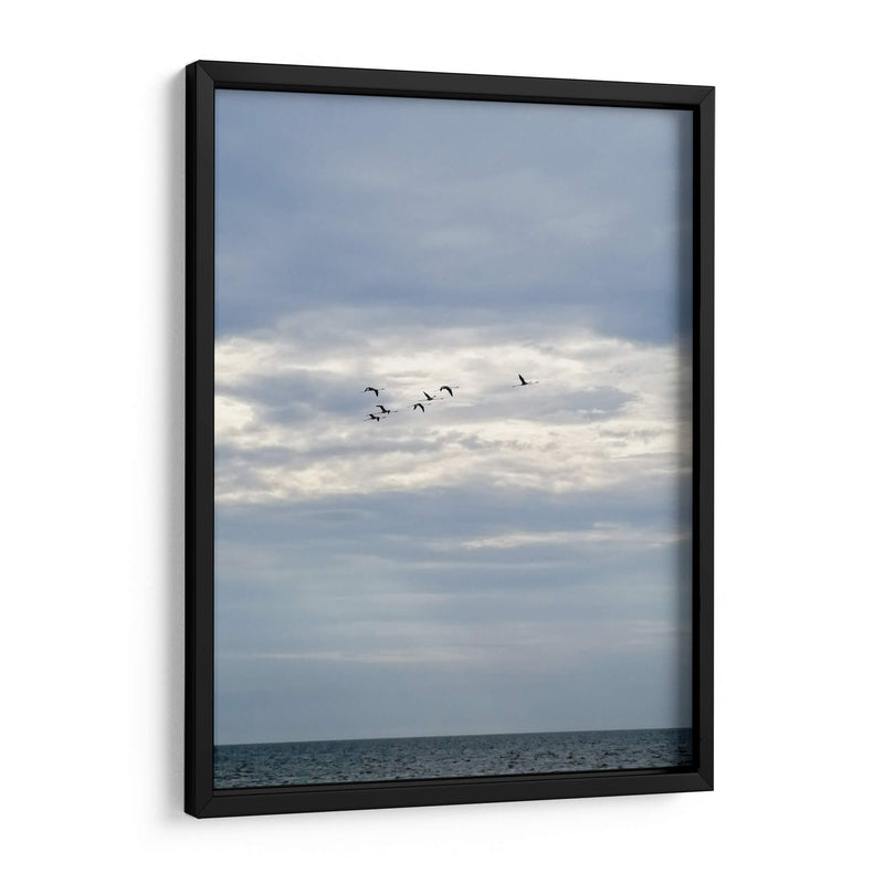 Parvada - Arturo Sánchez | Cuadro decorativo de Canvas Lab