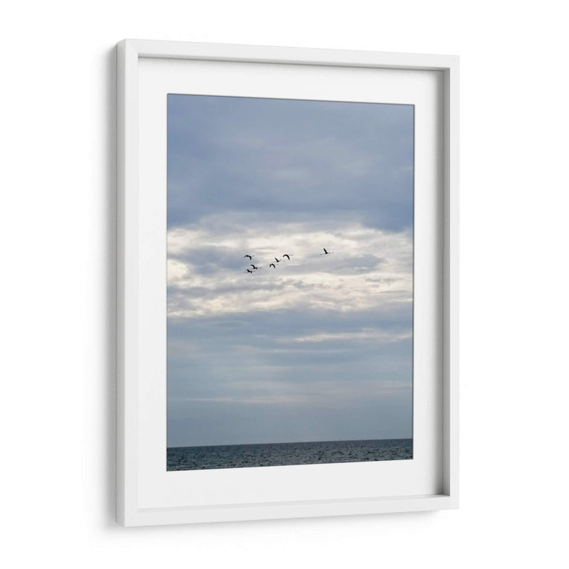 Parvada - Arturo Sánchez | Cuadro decorativo de Canvas Lab