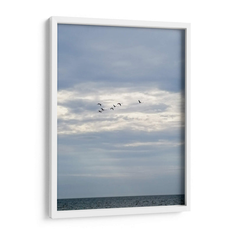 Parvada - Arturo Sánchez | Cuadro decorativo de Canvas Lab