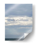 Parvada - Arturo Sánchez | Cuadro decorativo de Canvas Lab