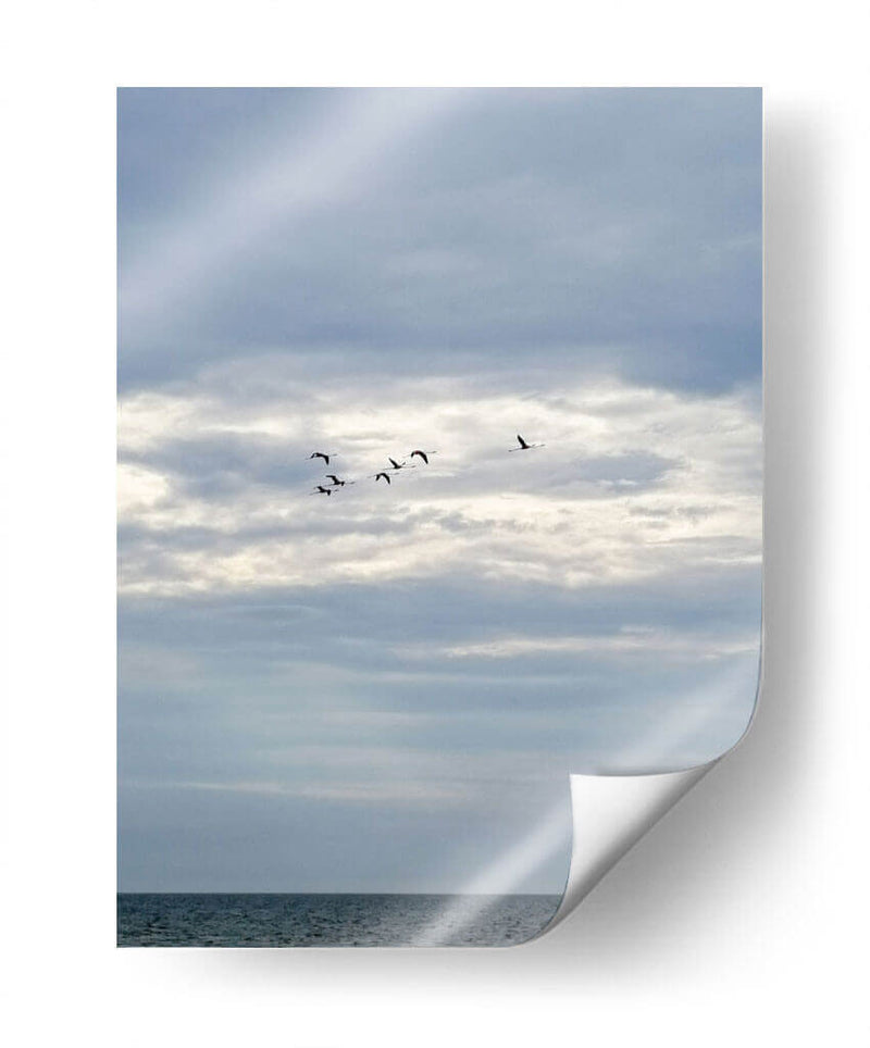 Parvada - Arturo Sánchez | Cuadro decorativo de Canvas Lab