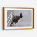 Pavorreal - Arturo Sánchez | Cuadro decorativo de Canvas Lab