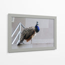Pavorreal - Arturo Sánchez | Cuadro decorativo de Canvas Lab