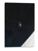 Telaraña - Arturo Sánchez | Cuadro decorativo de Canvas Lab