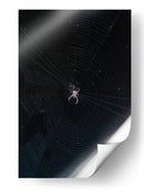 Telaraña - Arturo Sánchez | Cuadro decorativo de Canvas Lab