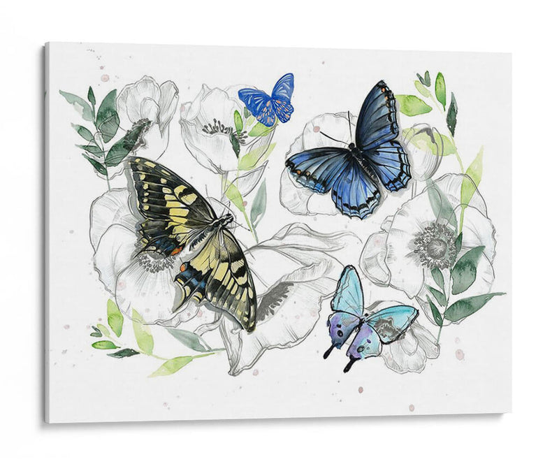 Colección De Mariposa Acuarela A - Jennifer Paxton Parker | Cuadro decorativo de Canvas Lab