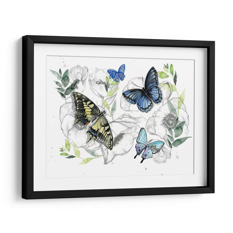 Colección De Mariposa Acuarela A - Jennifer Paxton Parker | Cuadro decorativo de Canvas Lab