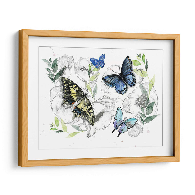 Colección De Mariposa Acuarela A - Jennifer Paxton Parker | Cuadro decorativo de Canvas Lab