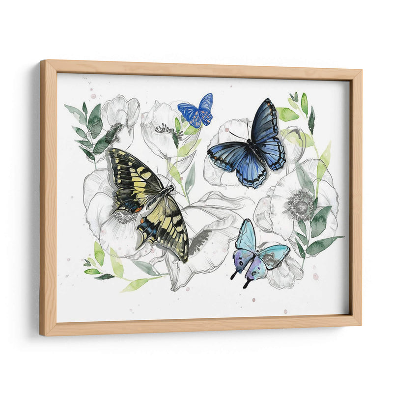 Colección De Mariposa Acuarela A - Jennifer Paxton Parker | Cuadro decorativo de Canvas Lab