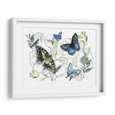 Colección De Mariposa Acuarela A - Jennifer Paxton Parker | Cuadro decorativo de Canvas Lab